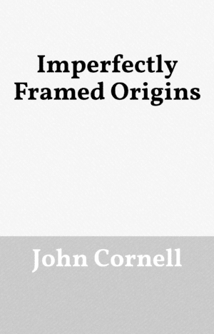 Imperfectly Framed – Origins